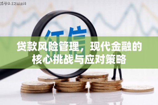 武冈贷款风险管理，现代金融的核心挑战与应对策略
