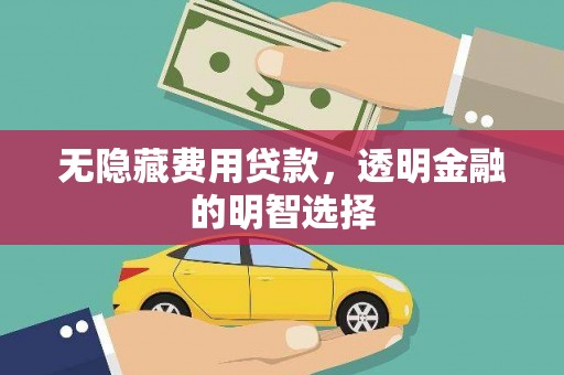 武冈无隐藏费用贷款，透明金融的明智选择