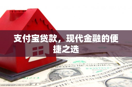 武冈支付宝贷款，现代金融的便捷之选