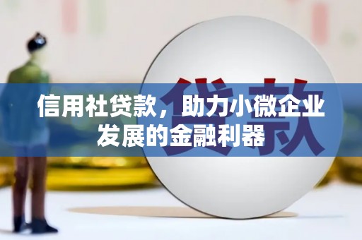 武冈信用社贷款，助力小微企业发展的金融利器