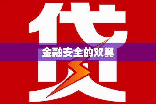武冈金融安全的双翼