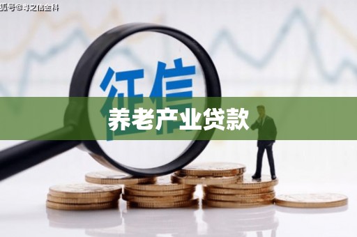 武冈养老产业贷款