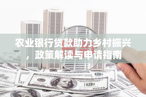 武冈农业银行贷款助力乡村振兴，政策解读与申请指南