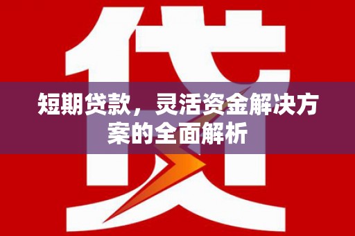 武冈短期贷款，灵活资金解决方案的全面解析