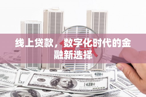 武冈线上贷款，数字化时代的金融新选择