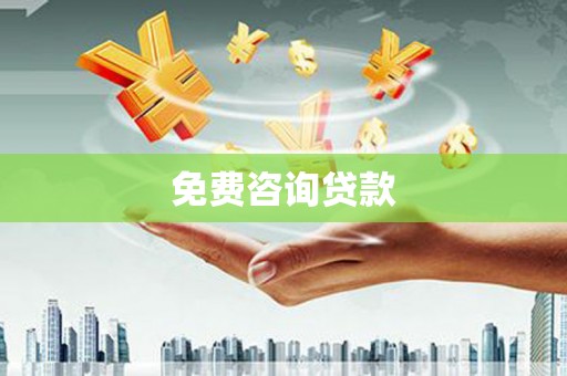 武冈免费咨询贷款