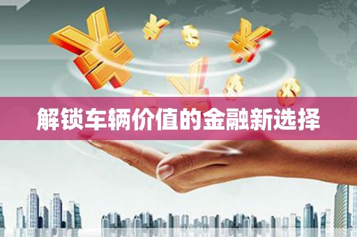 武冈解锁车辆价值的金融新选择