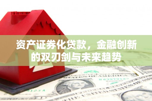 武冈资产证券化贷款，金融创新的双刃剑与未来趋势