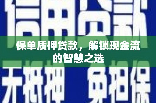 武冈保单质押贷款，解锁现金流的智慧之选