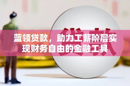 武冈蓝领贷款，助力工薪阶层实现财务自由的金融工具