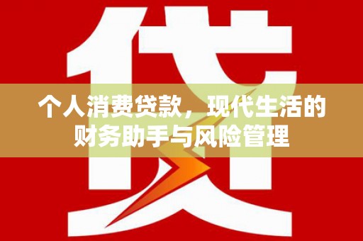 武冈个人消费贷款，现代生活的财务助手与风险管理