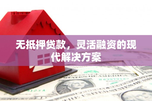 武冈无抵押贷款，灵活融资的现代解决方案