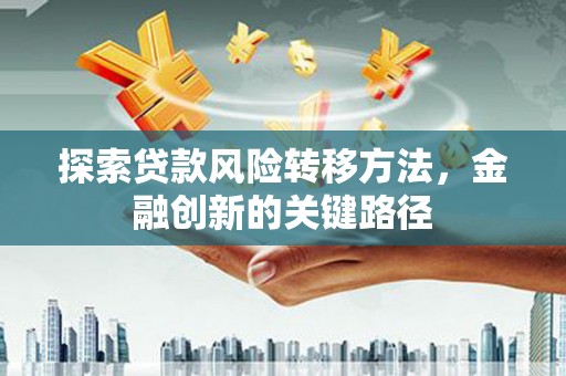 武冈探索贷款风险转移方法，金融创新的关键路径