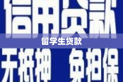 武冈留学生贷款