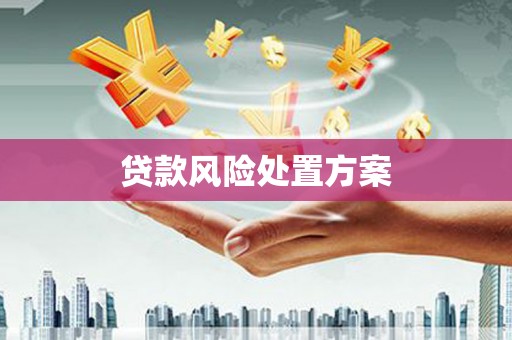 武冈贷款风险处置方案