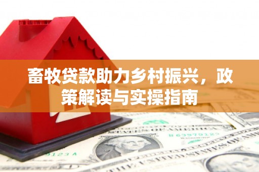 武冈畜牧贷款助力乡村振兴，政策解读与实操指南