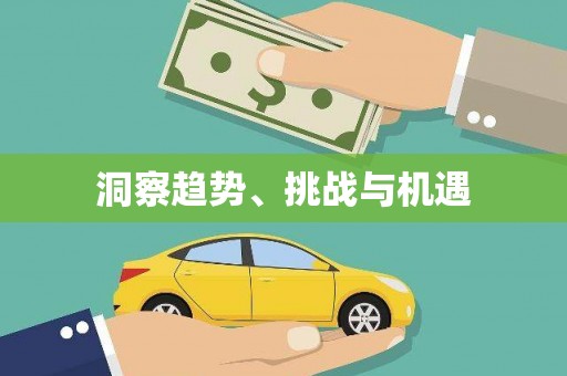 武冈洞察趋势、挑战与机遇