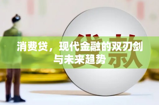 武冈消费贷，现代金融的双刃剑与未来趋势