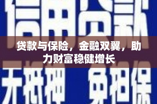 武冈贷款与保险，金融双翼，助力财富稳健增长
