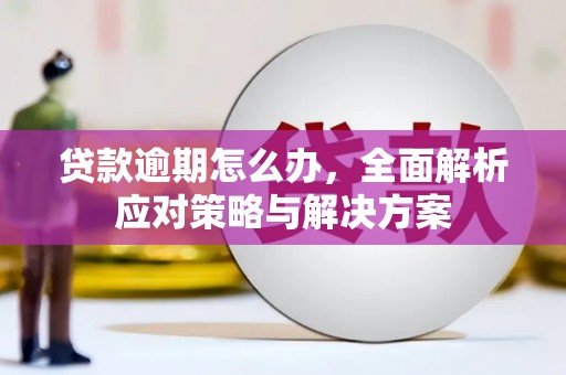 武冈贷款逾期怎么办，全面解析应对策略与解决方案