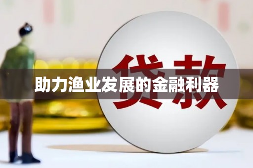 武冈助力渔业发展的金融利器