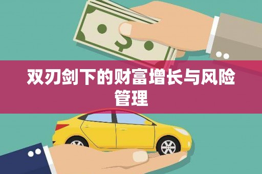 武冈双刃剑下的财富增长与风险管理