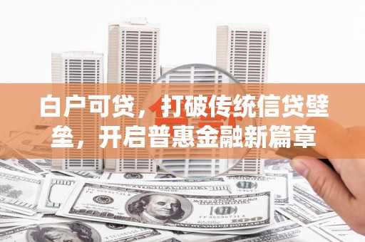 武冈白户可贷，打破传统信贷壁垒，开启普惠金融新篇章