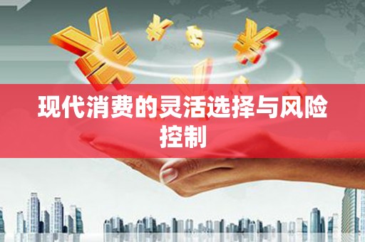 武冈现代消费的灵活选择与风险控制