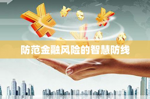 武冈防范金融风险的智慧防线