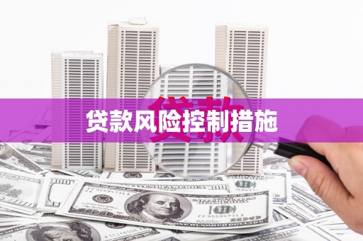 武冈贷款风险控制措施
