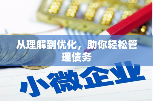 武冈从理解到优化，助你轻松管理债务