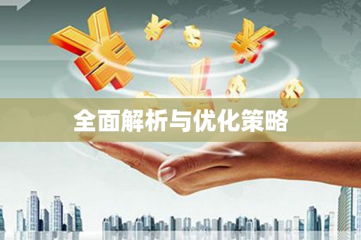 武冈全面解析与优化策略