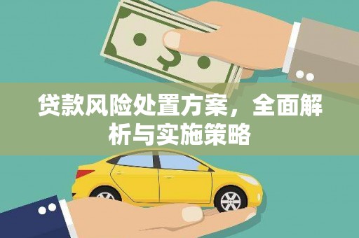 武冈贷款风险处置方案，全面解析与实施策略