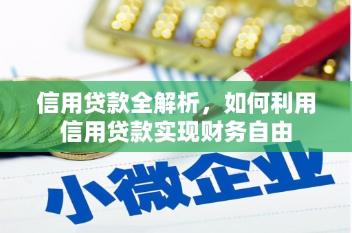 武冈信用贷款全解析，如何利用信用贷款实现财务自由