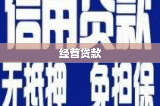 武冈经营贷款