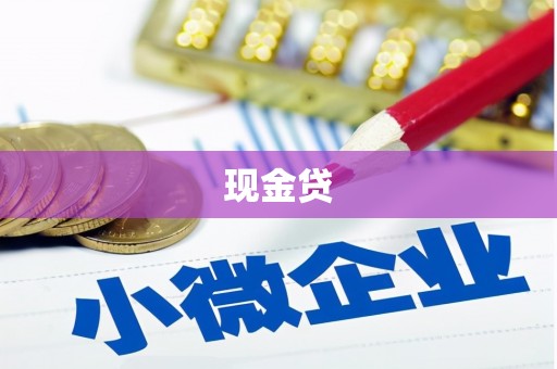 武冈现金贷