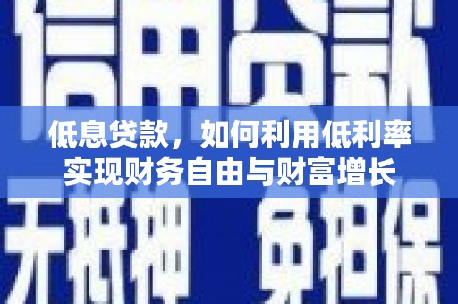 武冈低息贷款，如何利用低利率实现财务自由与财富增长
